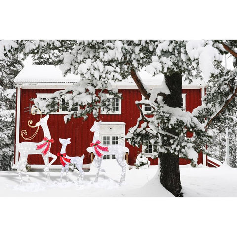 Celebrations LED Warm White Reindeer 34.5 in. Yard Decor