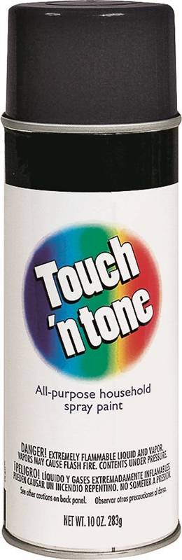 Rustoleum Touch 'N Tone Topcoat Spray Paint, 10 oz Aerosol Can, Flat