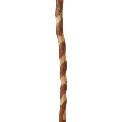 Brazos Walking Sticks 37 in. Brown Sassafras Cane