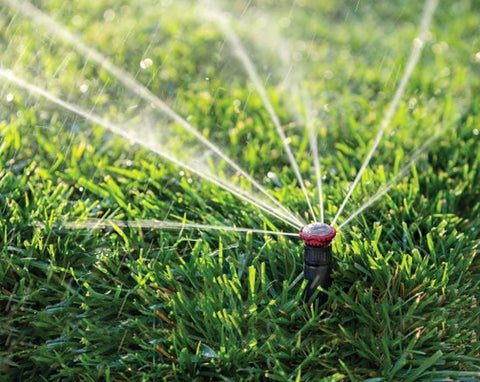 Rain Bird 24RNVAPRO Spray Head Nozzle, 1/2 in Connection, Female, 17 to 24 ft, 15 to 20 deg Nozzle Trajectory, Plastic