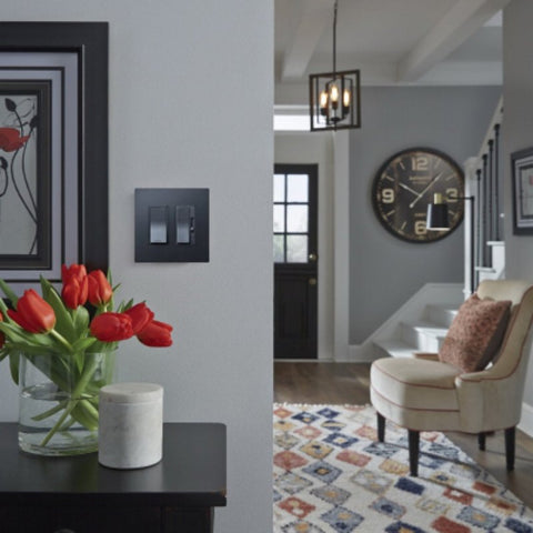 Pass & Seymour radiant Series RWP262GCC6 Wallplate, 4-1/2 in L, 4.96 in W, 2-Gang, Polycarbonate, Graphite, Metallic