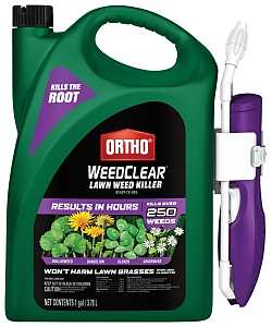 Ortho 0448805 Weed Killer, Liquid, Clear, Spray Application, 1 gal Bottle