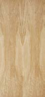 28 in. x 80 in. Birch Interior Door Hollow Core