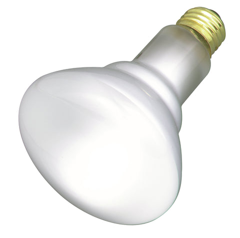 65W BR30 Reflector - Medium Base - Frosted - 120V 2-Pack