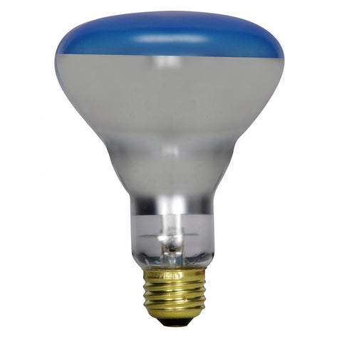 Satco - 150 Watt R30 Incandescent; Grow; 2000 Average rated hours; Medium base; 120 Volt
