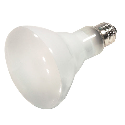 45W Halogen R20 Reflector - Medium Base - Frost - 120V