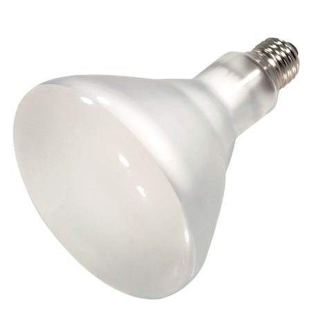 65W Halogen R40 Reflector - Medium Base - Frost - 120V