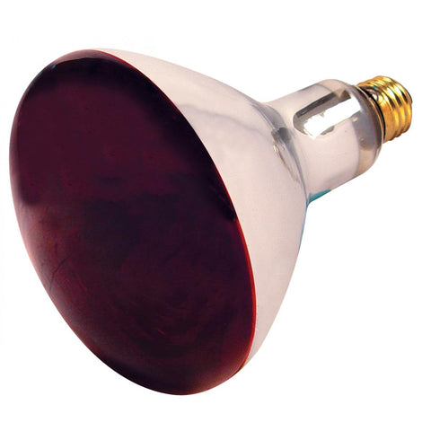 Satco - 250 Watt R40 Incandescent; Red Heat; 6000 Average rated hours; Medium base; 120 Volt
