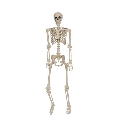 Seasons 5 ft. Skeleton Halloween Decor