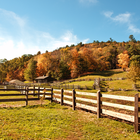 Fencing In Farm & Ranch