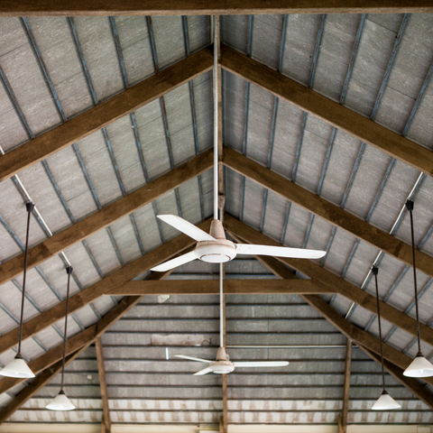Lighting & Ceiling Fans In Electrical