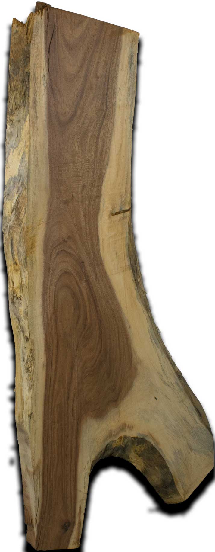 Albizia Live Edge Wood Slab 2.5 In. x 16 In. x 48 In. - VSHE3AL1