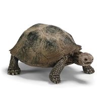 Schleich-S 14601 Figurine, 3 to 8 years, Giant Tortoise, Plastic 