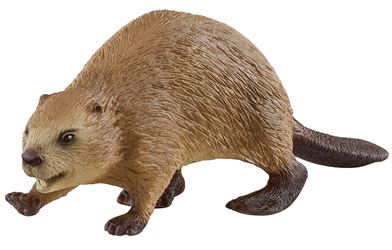 Schleich-S Wild Life 14855 Animal Toy, 3 to 8 Years, Beaver 