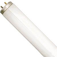 Sylvania 24671 Fluorescent Bulb, 40 W, T12 Lamp, Medium Lamp Base, 1700 Lumens, 3400 K Color Temp, Neutral White Light, Pack of 6 