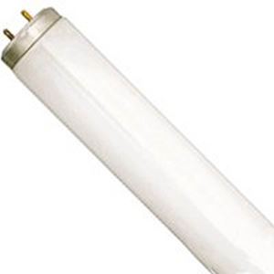 Sylvania 24671 Fluorescent Bulb, 40 W, T12 Lamp, Medium Lamp Base, 1700 Lumens, 3400 K Color Temp, Neutral White Light, Pack of 6