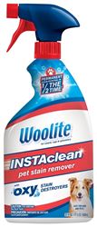 Woolite 1684 Pet Stain Remover, 22 oz 