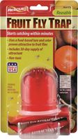 Rescue Non-Toxic Fruit Fly Trap, 2 in L x 2 in W x 2-1/2 in H 
