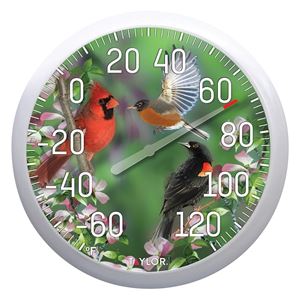 Taylor 6774 Bird Thermometer, Multi-Color Casing