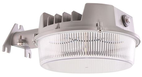 LIGHT AREA LED BSC 4000LM 250W
