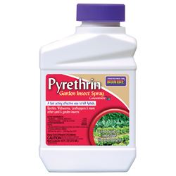 Bonide 858 Pyrethrin Garden Insect Spray, 1 pt Bottle 
