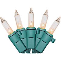 Santas Forest 07528 Light String, 25-Lamp, LED Lamp, Clear Lamp 24 Pack 