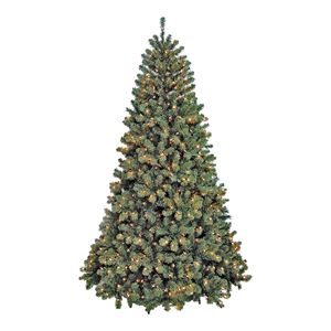 Santas Forest 61771 Christmas Tree, 7 ft H, Noble Fir Family, 120 W, Tungsten Bulb, Clear Light