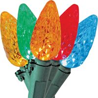 Santas Forest 09520 String Light, 25-Lamp, C6 LED Lamp, Multi-Color Lamp 24 Pack 
