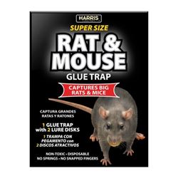 Harris BLKRAT-1 Rat and Mouse Glue Trap, Cardboard 