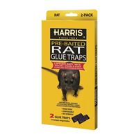 HARRIS BLK-RG2 Rat Glue Trap 