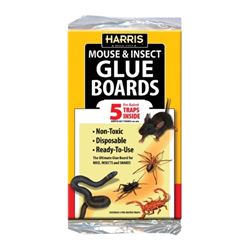 Harris GB-5 Pre-Baited Glue Board, Cardboard 