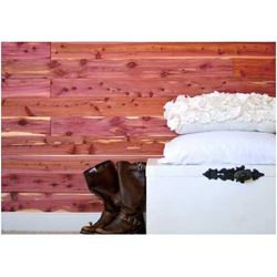 CedarSafe FL60/15N Closet Liner Plank, 3-3/4 in W, Cedar Wood 