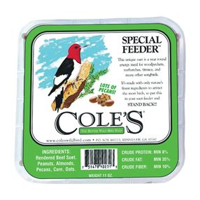 Cole's Special Feeder SFSU Suet Cake, 11 oz, Pack of 12