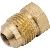 Watts 39-P Series 39-P-8 Pipe Plug, 1/2 in, Flare, Brass, Pack of 5 