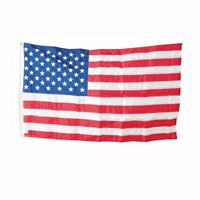 Valley Forge USPN-1 USA Flag, 3 ft W, 5 ft H, Nylon 