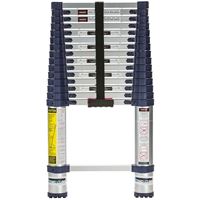 Xtend+Climb 785P Telescoping Ladder, 19-1/2 ft Max Reach H, 16-Step, 250 lb, 1-1/2 in D Step, Aluminum, Anodized 
