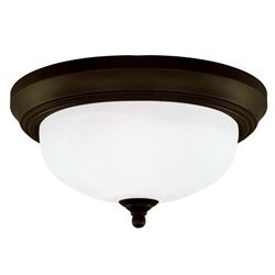 Westinghouse 6429100 Flush Mount Ceiling Fixture, 120 V, 60 W, 2-Lamp, Incandescent, LED Lamp, Steel Fixture 