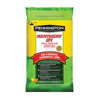 Pennington Kentucky 31 Series 100516050 Grass Seed, 5 lb Bag 