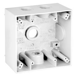 Teddico/Bwf 2504W-1 Outlet Box, 2-Gang, 4-Knockout, 4-1/2 in, Metal, White, Powder-Coated 