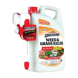 Spectracide HG-96370 Weed and Grass Killer, Liquid, Amber, 1.33 gal Can 