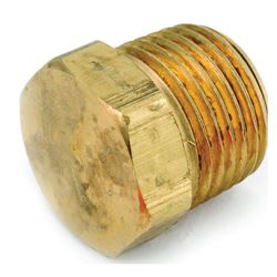 Anderson Metals 756121-02 Pipe Plug, 1/8 in, MPT, Brass 10 Pack 