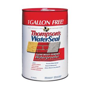 Thompson's WaterSeal TH.024106-06 Waterproofer, Clear, 6 gal, Can