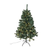 Santas Forest 61946 Sheared Tree, 4-1/2 ft H, Noble Fir Family, 110 V, LED Bulb, Clear Light 