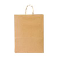 Duro Bag Dubl Life 87124 Shopping Bag, 10 in L, 5 in W, 13 in H, Kraft Paper, Brown 