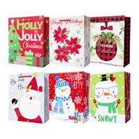 Santas Forest 69507 Large Vertical Bag with Tissue, 10.1/4 in W, 12.5 in H, Paper, Assorted Color & Design 24 Pack 