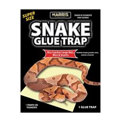 Harris SNAKE-1 Snake Glue Trap, 15.4 in L, 9.9 in W, Glue Board Locking 