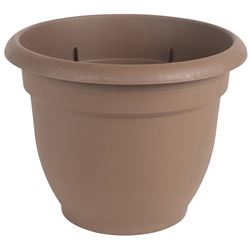 Bloem 20-56306CH Planter, 6 in Dia, 5-1/4 in H, 6-1/2 in W, Round, Plastic, Chocolate, Pack of 10 