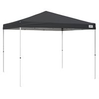 Seasonal Trends VPR10021-0 Canopy, 10 ft L, 10 ft W, 9 ft 1 in H, Steel Frame, Polyester Canopy 