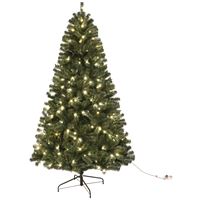 Santas Forest 61961 Sheared Tree, 6 ft H, Noble Fir Family, 120 W, LED Bulb, Clear Light 