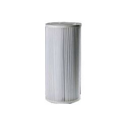 Omnifilter RS6-SS2-S06 Filter Cartridge, 30 um Filter, Polyester Filter Media, Pleated Paper 